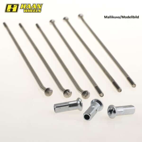 Haan eger 21 36 stk